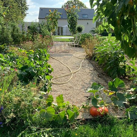 Le Gite Du Chemin Vert Villa Pontlevoy Eksteriør billede